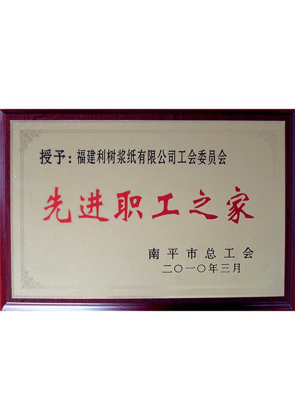 (Lishu pulp paper) 2010 Nanping City advanced workers home